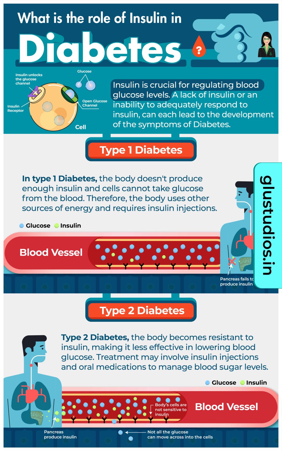 Chat bot of Lupin showcasing patient education infographics